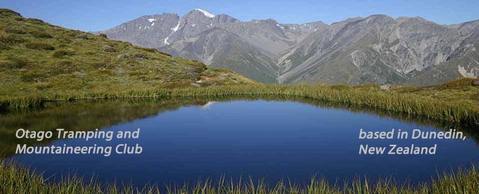 Tarn on Mt. Cook Range