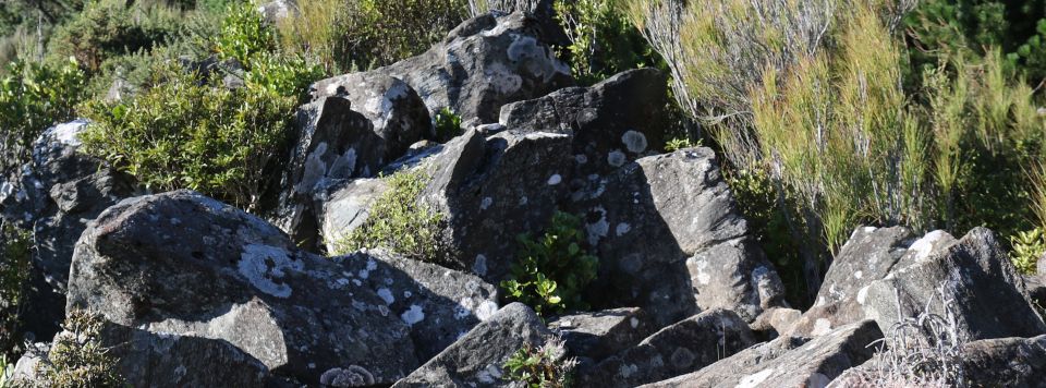 Pigeon Rock - Escarpment Track